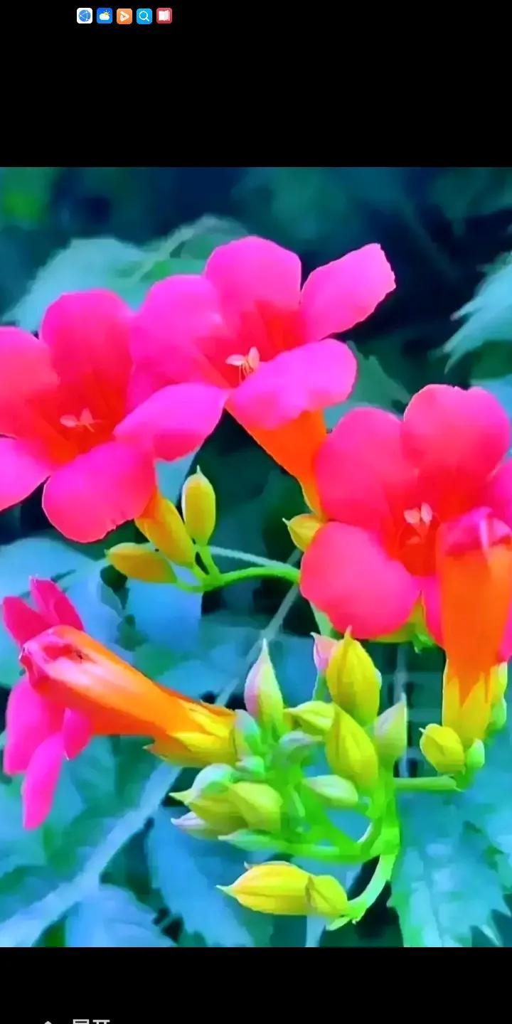 上了年纪记住八个没必要，晚年一顺百顺。
1上了年纪没必要和那些没必要的人去交往。