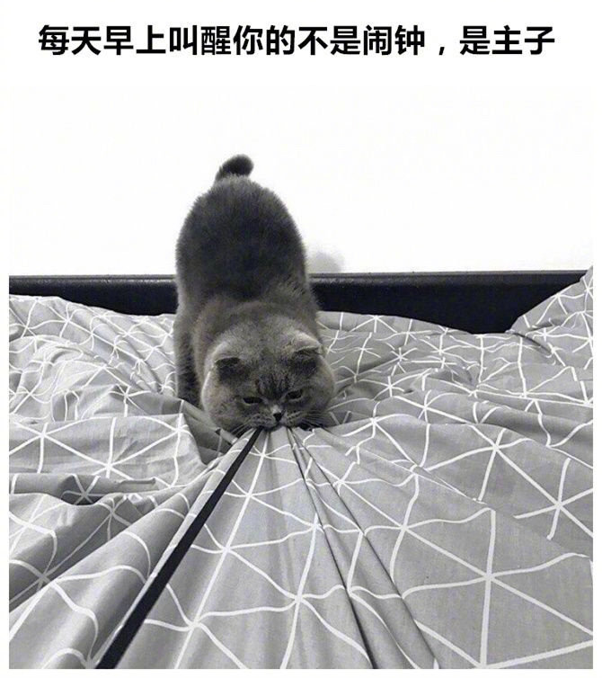 不然迟早要完