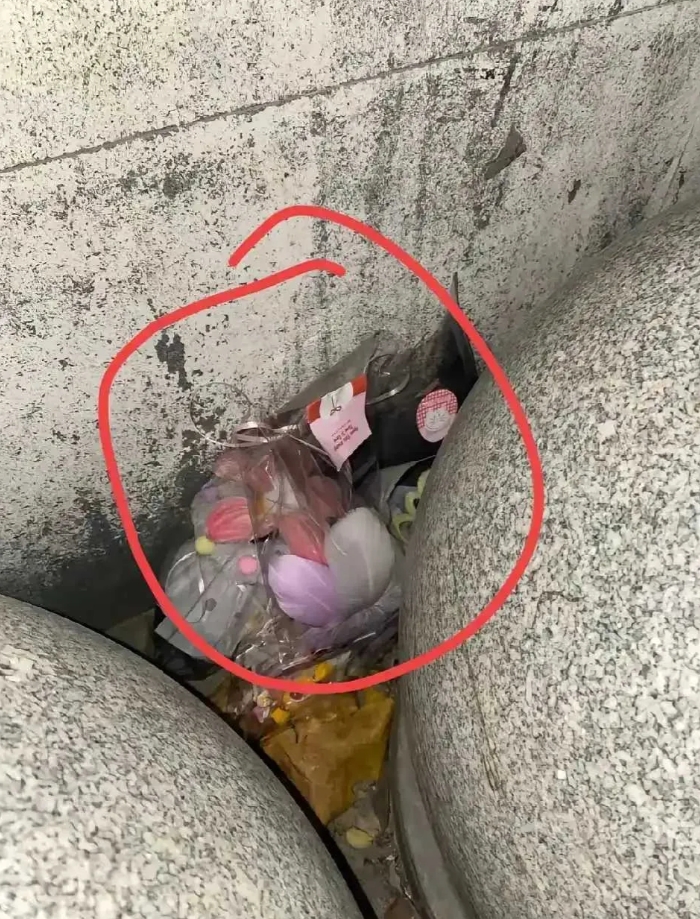 大家有没有看出来是什么东西？