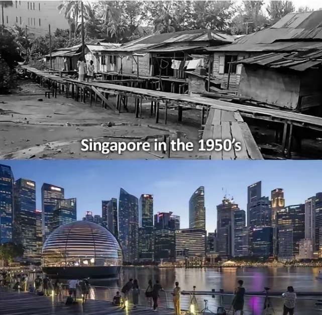 1965年，新加坡被迫脱离马来西亚。
没有军队。
没有资源。
没有淡水。
一个小