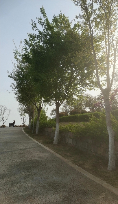 我表姐夫真是应了那句话“人不作死就不会死”，今年51岁，年轻时长得帅，还会跳鬼步