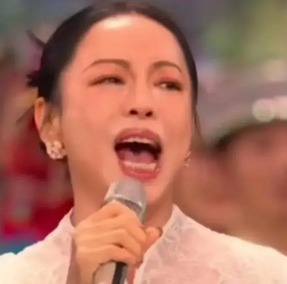 去年春晚，最大的败笔可能就是这首《难忘今宵》，被黄绮珊唱出了摇滚的滋味，原本最质