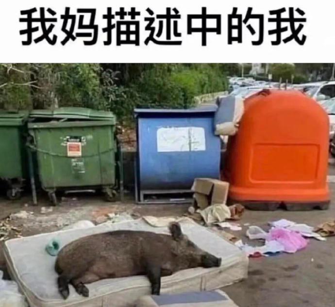 幽默趣闻：我妈描述中的我！！哈哈哈哈！