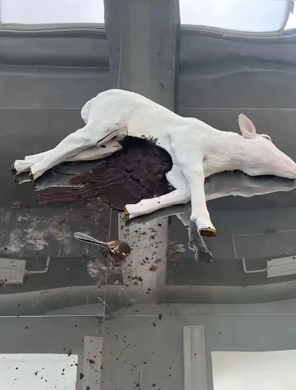 回家看到的，差点被吓哭，谁家蛋糕做成这样