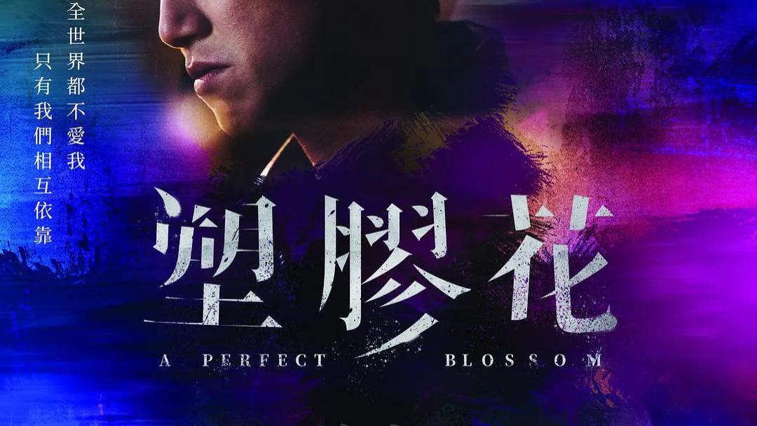 吴慷仁新剧《塑胶花》定档0628！犯罪、爱情与救赎的公路之旅即将开启