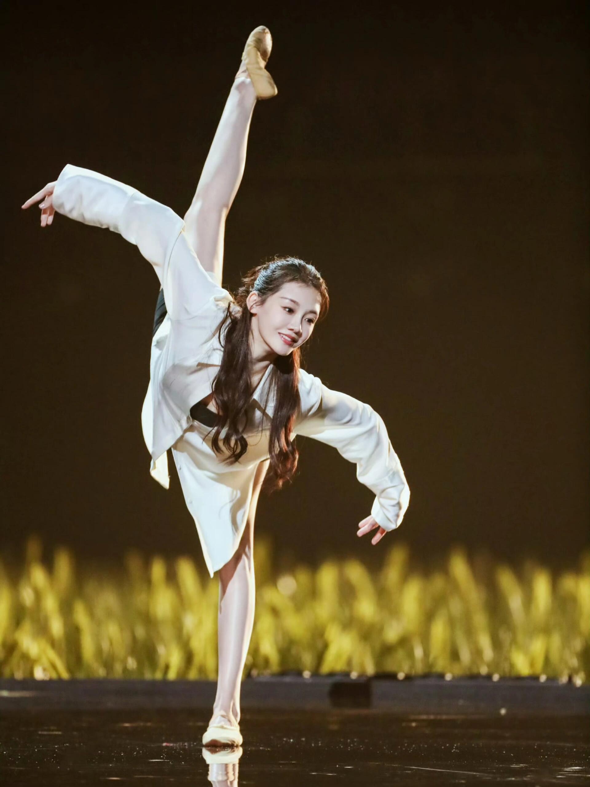 乘风2024：璀璨星辰，苗苗梦回芳华！