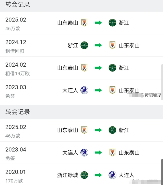 山东泰山净赚111万欧元