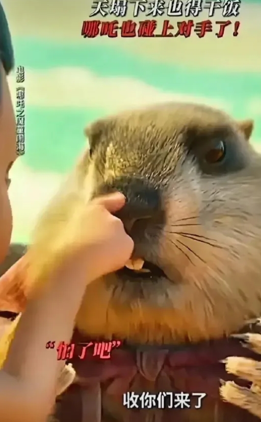 我认为哪吒不可能是四川的！
哪吒闹海和水淹陈塘关两个故事，都说明陈塘关是在海边。