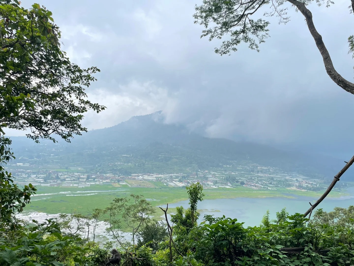 巴厘岛酒店，灵异到可怕，以后不会再去了
18年春节去过一次巴厘岛，住在乌鲁瓦图和
