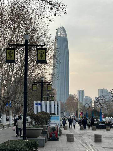 国外的网友问：为什么济南的路灯杆上都写着个“宋”呀