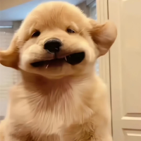 遗忘之地的梦旅人