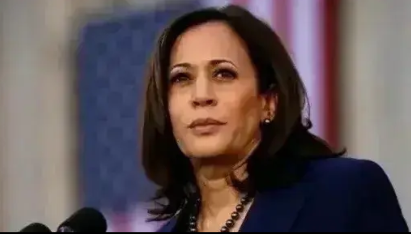 震撼！哈里斯副总统的言论如惊雷般震撼人心，她勇敢地宣告，若有机会登临总统之位，首