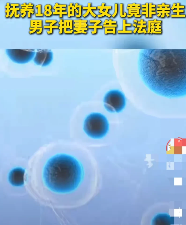 广东东莞，女子怀孕后想找个老实人背锅，与现任丈夫相亲后，又觉得良心上过不去，在还