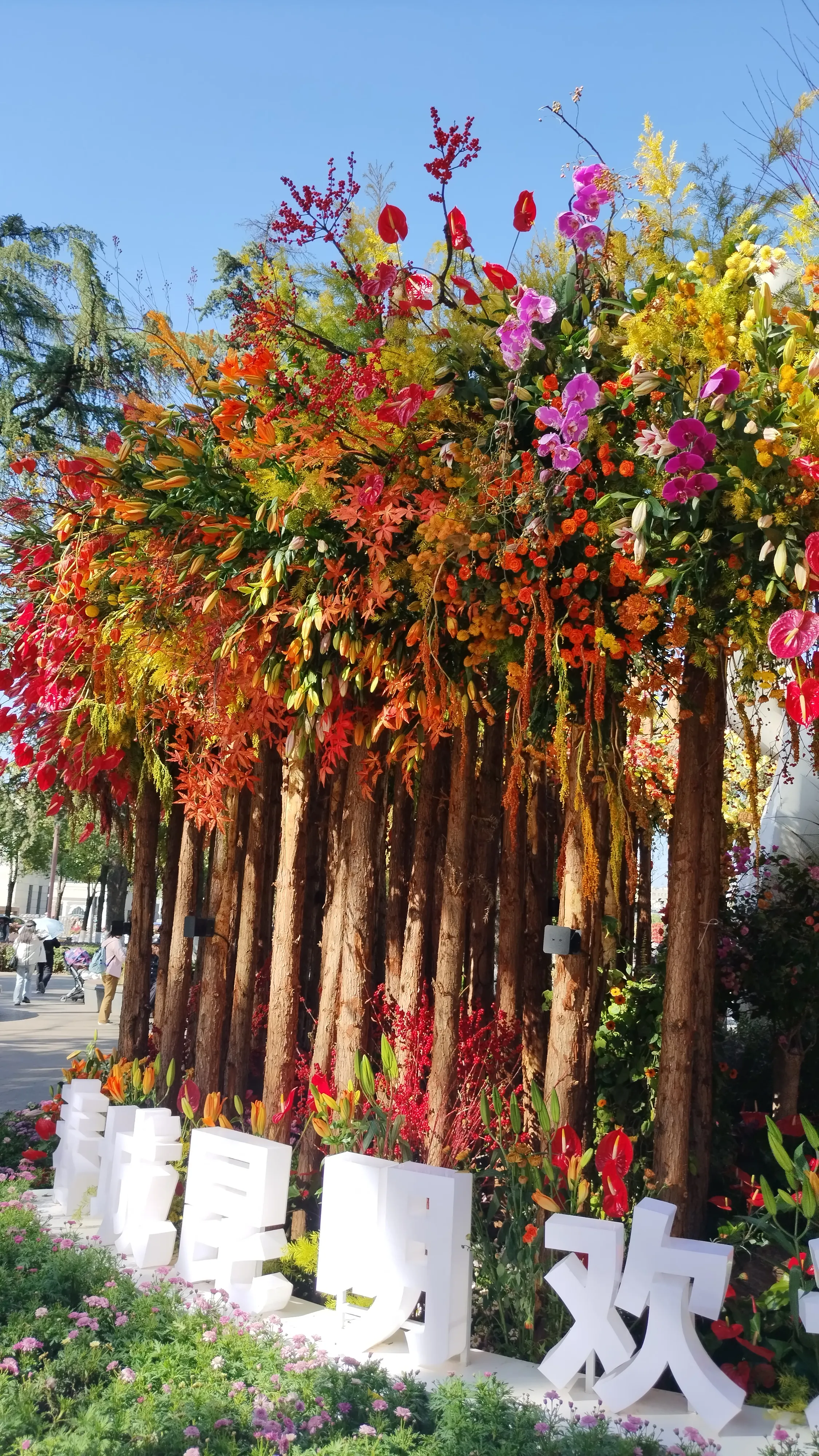 翠湖公园外围的步道，花团锦簇 感觉好极了
