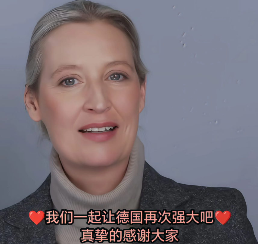 选民心声大揭秘！魏德尔胜算大增，德国大选结果或将改写历史！

德国大选定于北京时
