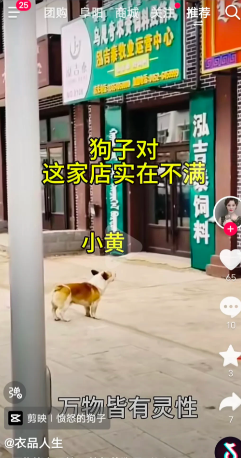 狗狗在某餐馆门口大叫不停，好奇人抬头一看“傻眼了”，便民狗肉馆几个大字就在眼前。