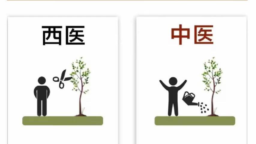 虹济胆王孙主任：西医治标 中医治根