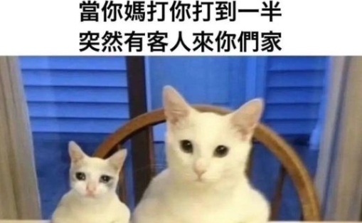 太真实了呀