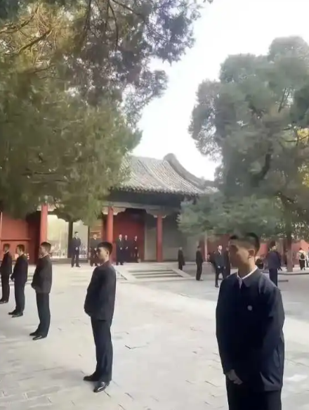 这个到底是夹克还是中山装
