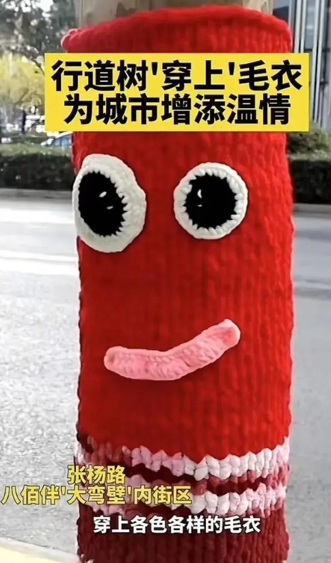 上海入冬后树木的新模样超有趣，这些“毛绒绒”的装饰就像给树举办了一场时尚换装秀。