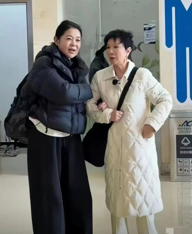 我觉得倪萍老师这身衣服，短款羽绒服和大镰刀裤虽然衣服本身流行，但她穿不怎么好看。