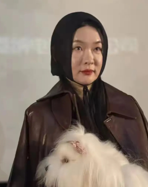 霍思燕胖啦！也白啦！不知道为什么要这样的打扮，感觉怪怪的。

没结婚前，多爆火的
