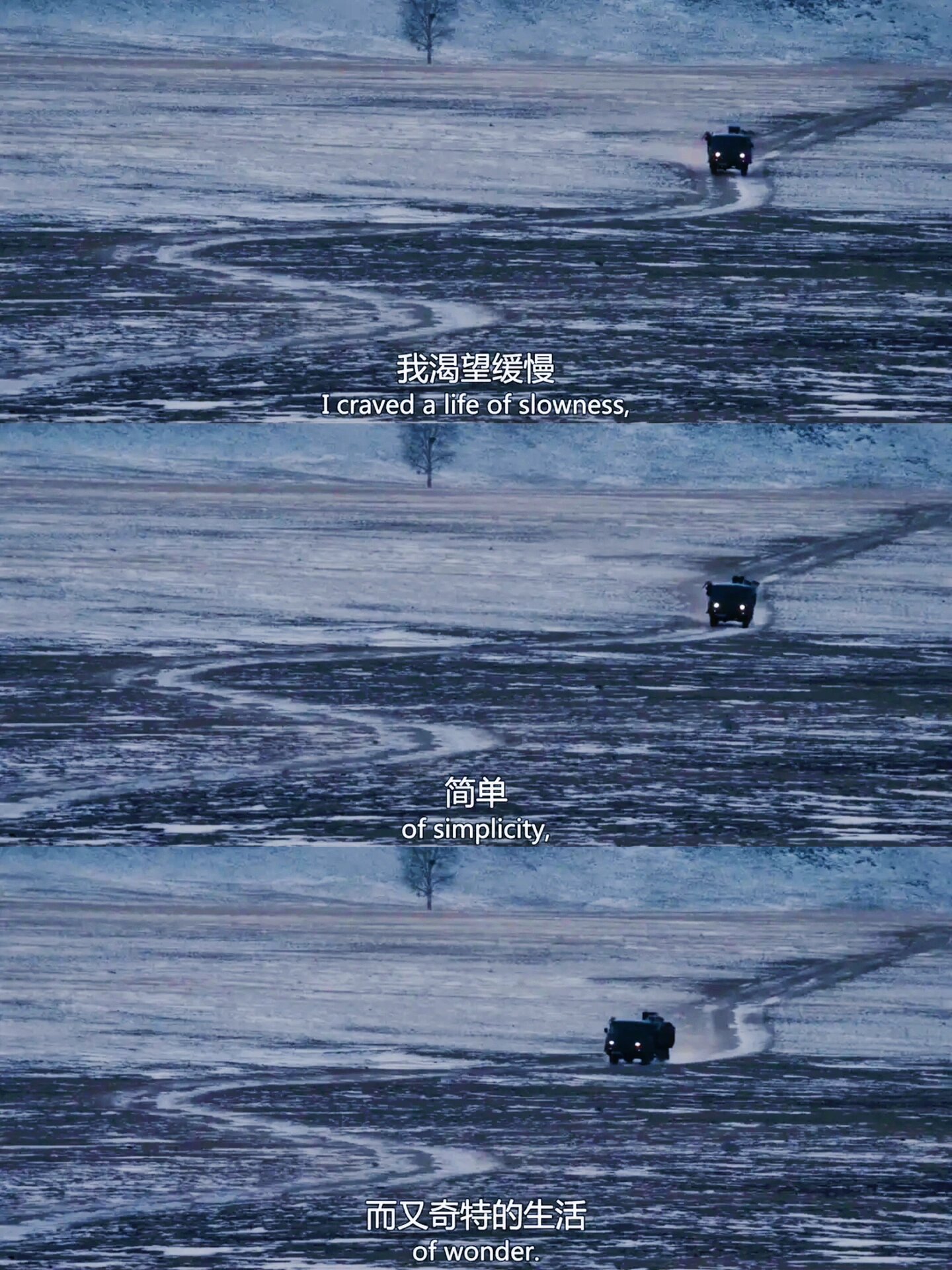 好剧推荐《在西伯利亚森林中》