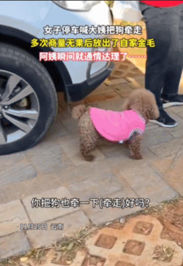 11月26日，大妈遛狗不栓绳，还占着车位就是赖着不走，女子好声好气劝大妈让道却被