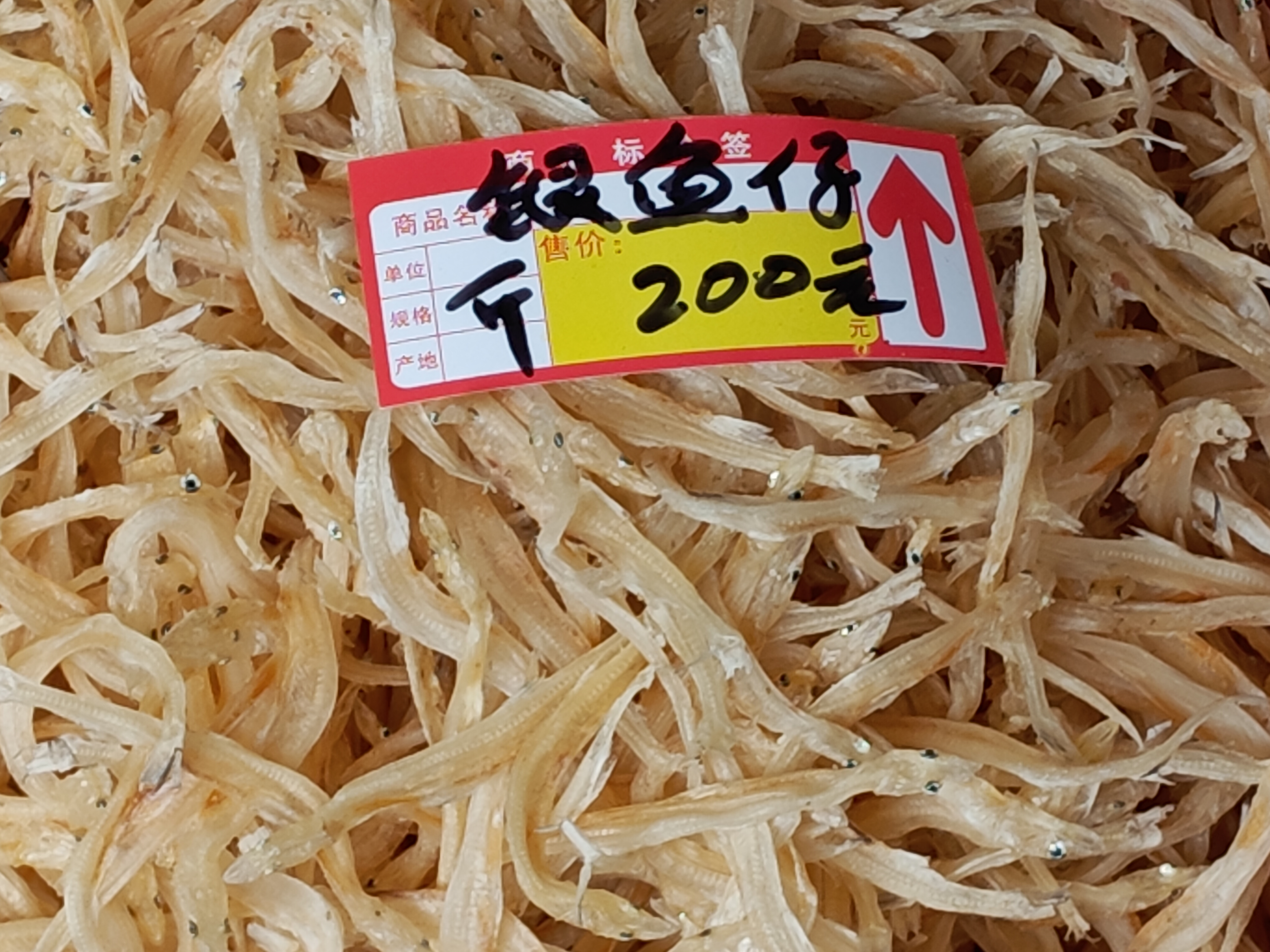 广州沙园市场最大规格的银鱼干，200元一斤。这是好东西，口感和味道都好，软润清鲜