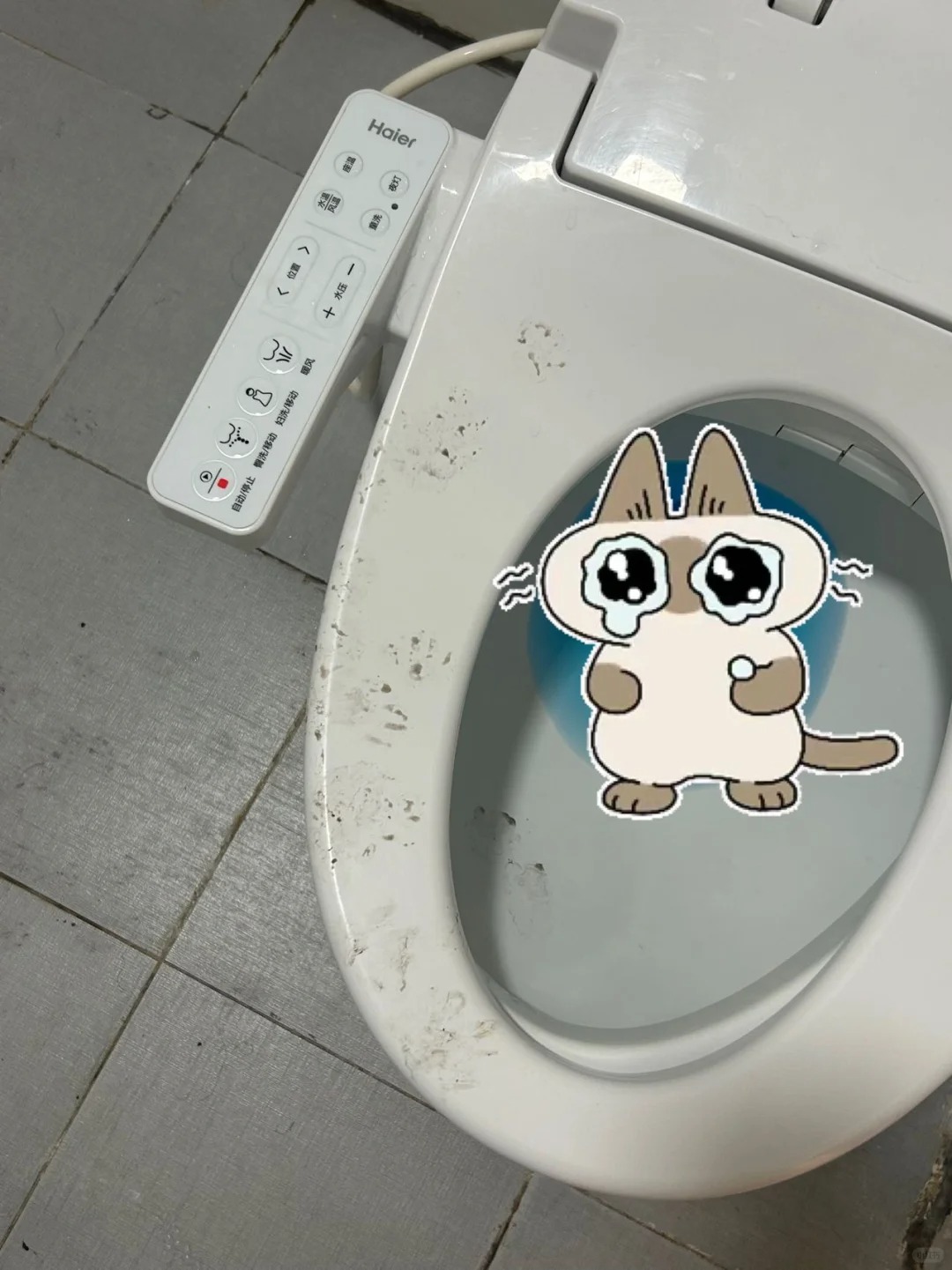 这是老鼠脚印还是猫脚印
最近总在小红书刷到家里进大老鼠
然后就这样了，反向大数据