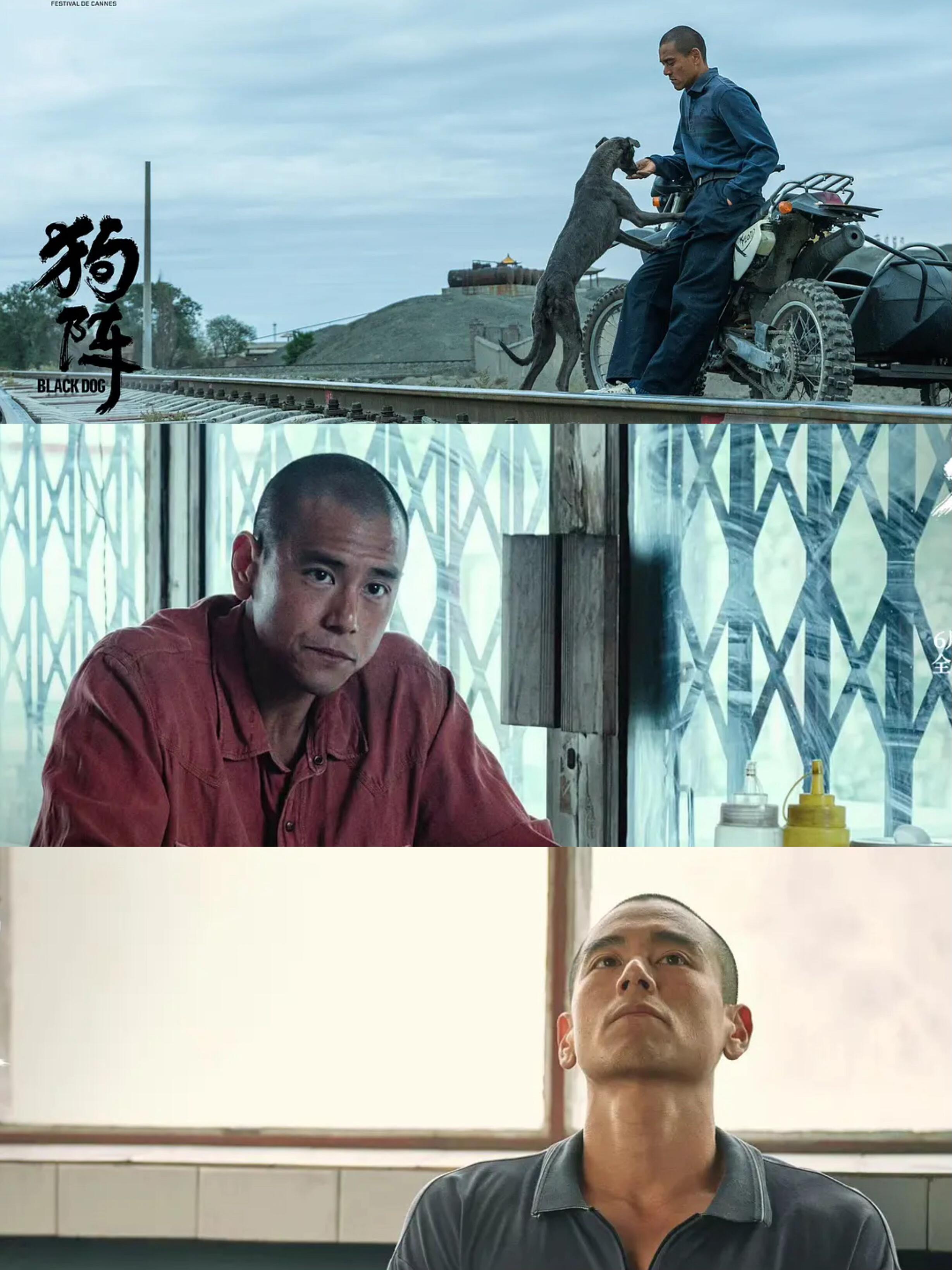《狗阵》：它没那么“好看”，但会成为经典