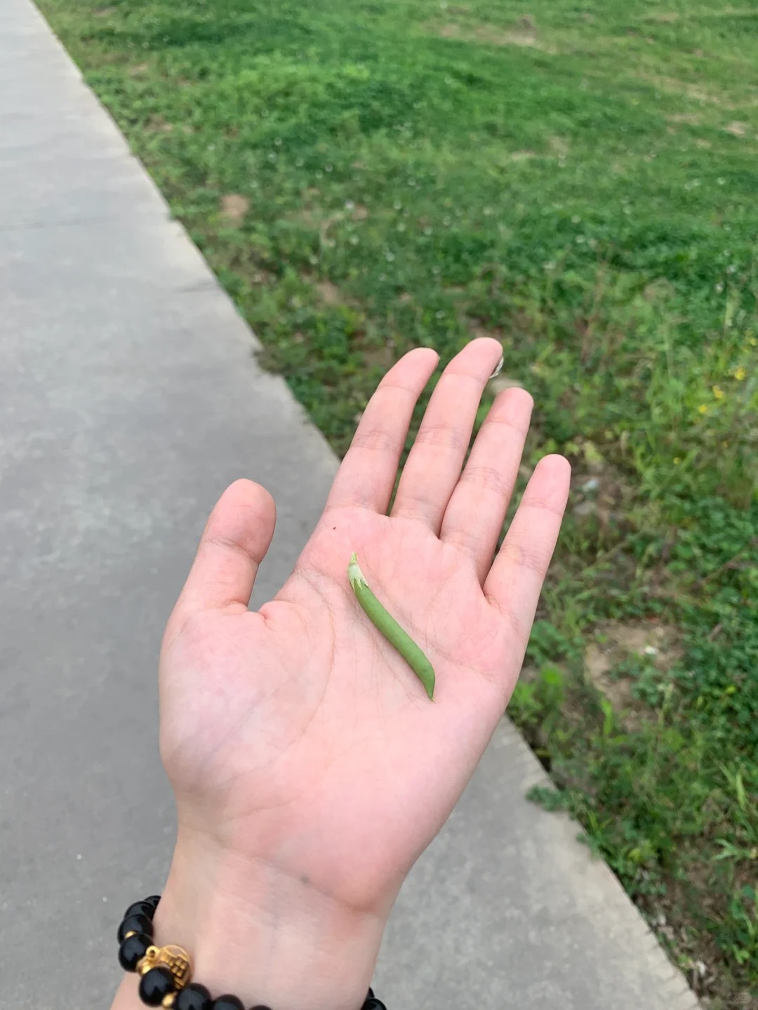 谈念爱还是要和我谈的 有没有四川的朋友知道这个是什么然我不放心