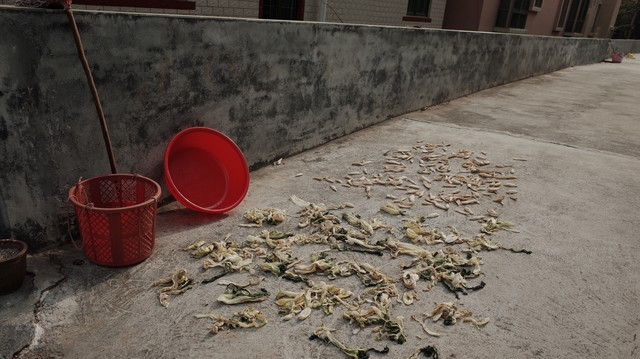 聋哑父亲急需做手术，两个儿子不拿手术费，连医院也没来过一趟