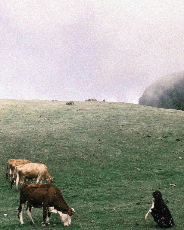 贵州旅游有自己的阿勒泰