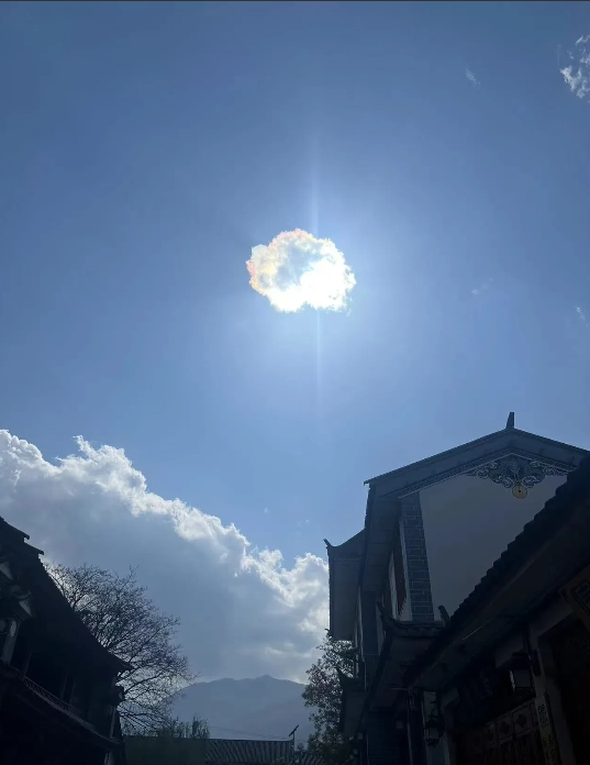 我姑去年鼓动自己儿子离婚了，说会生孩子的大姑娘有的是，说啥也不要个子低、嘴又笨的