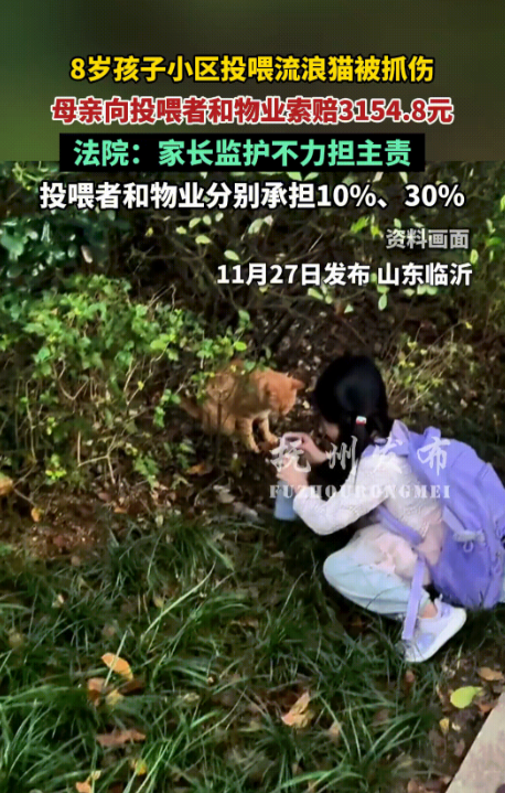 11月27日，8岁孩子在小区投喂流浪猫时被抓伤，送医诊治疗花费1154.8元，孩