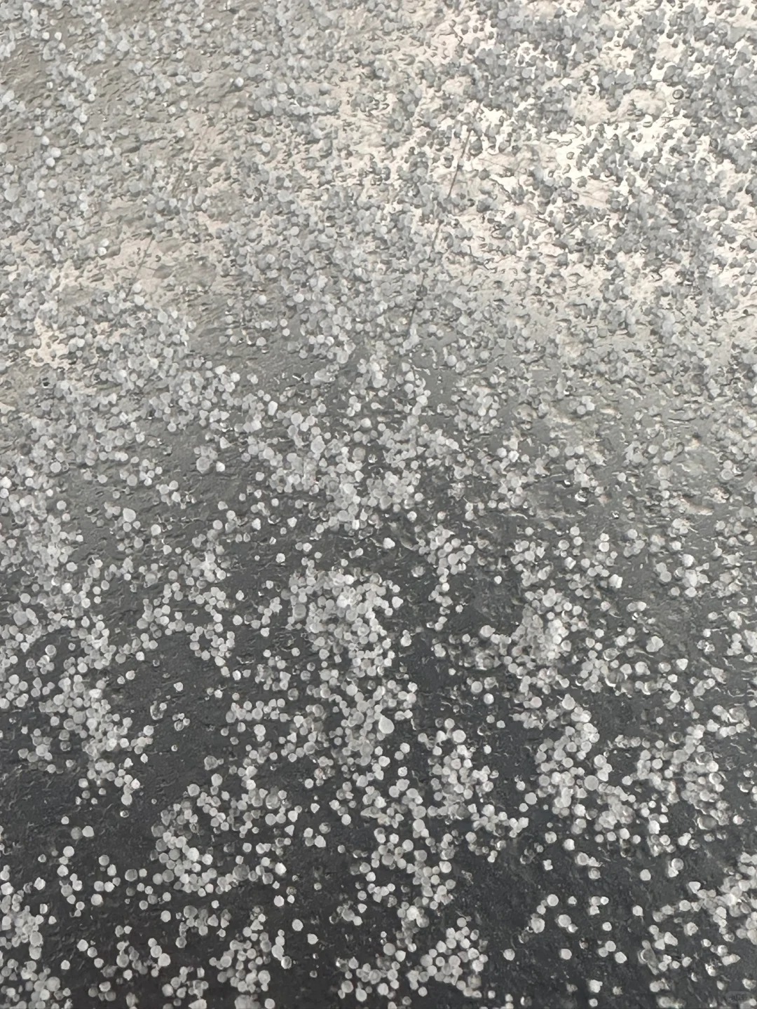 南京下的不是雪而是霰！学到了！