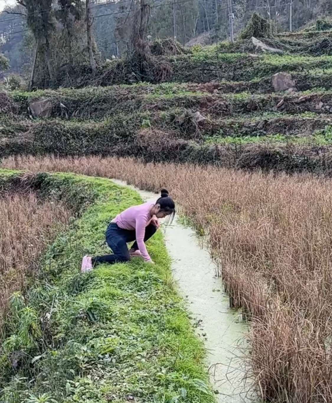 放炮吓趴下了