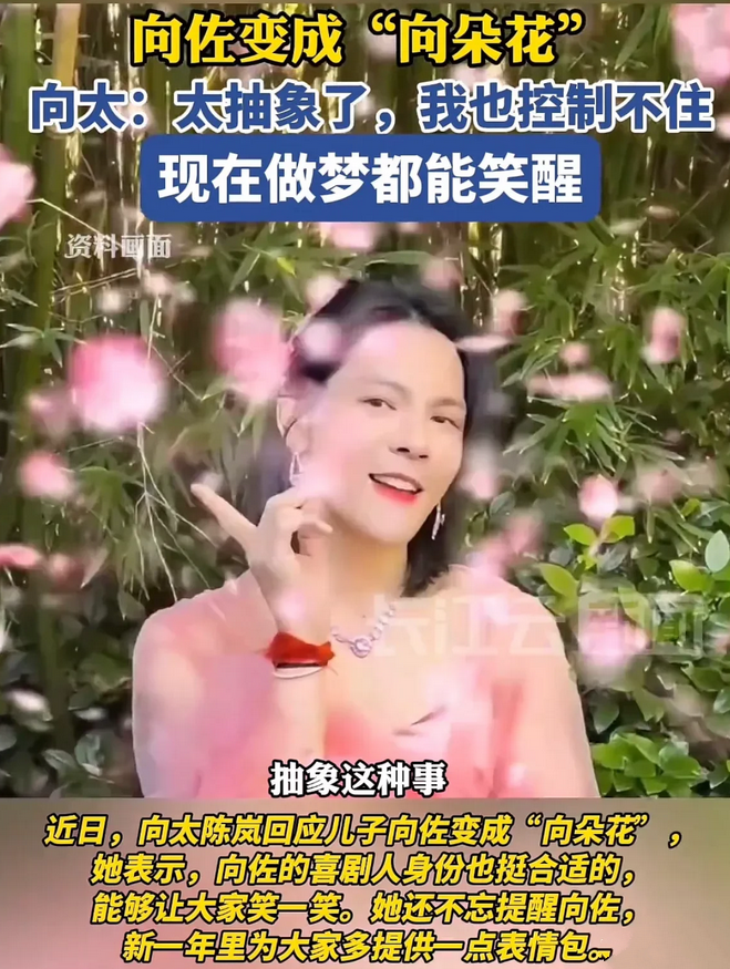 向太已经放弃向佐了，对于向佐从武打硬汉变成“向一朵花”，向太的心态已经躺平了。说