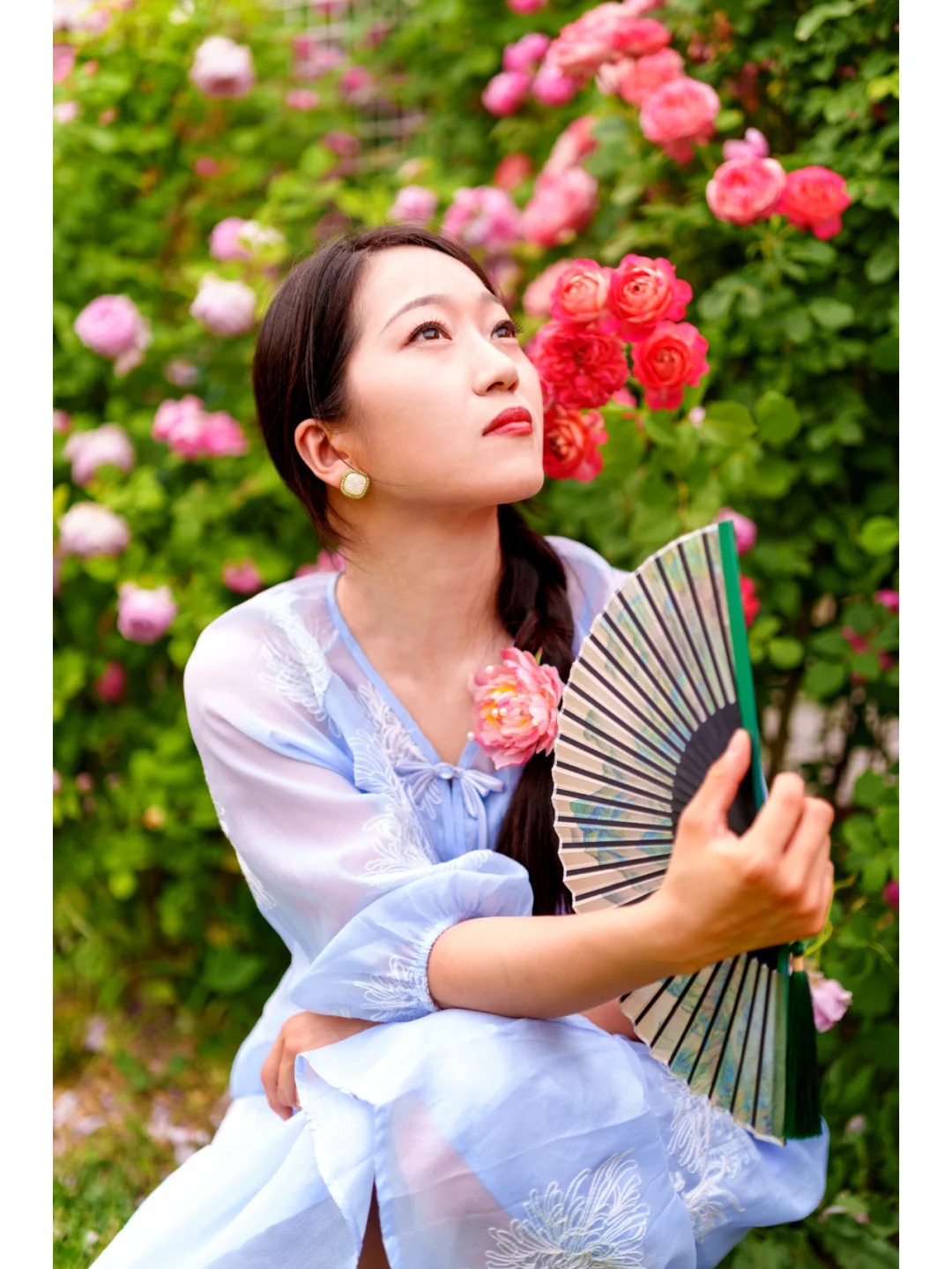 夏天的味道~新中式美女蔷薇花+月季
夏日的傍晚，在日落前享受日光和微风，淡淡的花