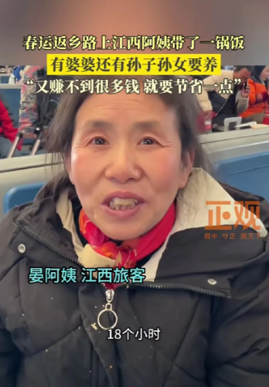 2025春运返乡途中，一位大姨上了热搜，她在工地干活，每天收入300左右，虽辛苦