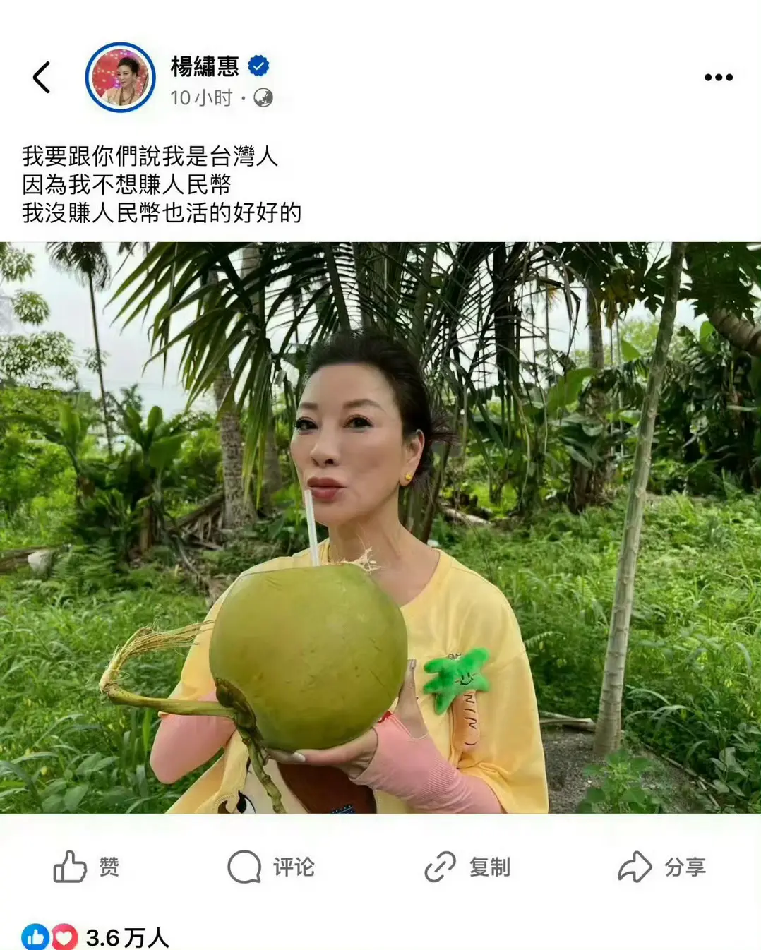 全网封杀这个台独分子，杨绣惠：我是台湾人不赚人民币