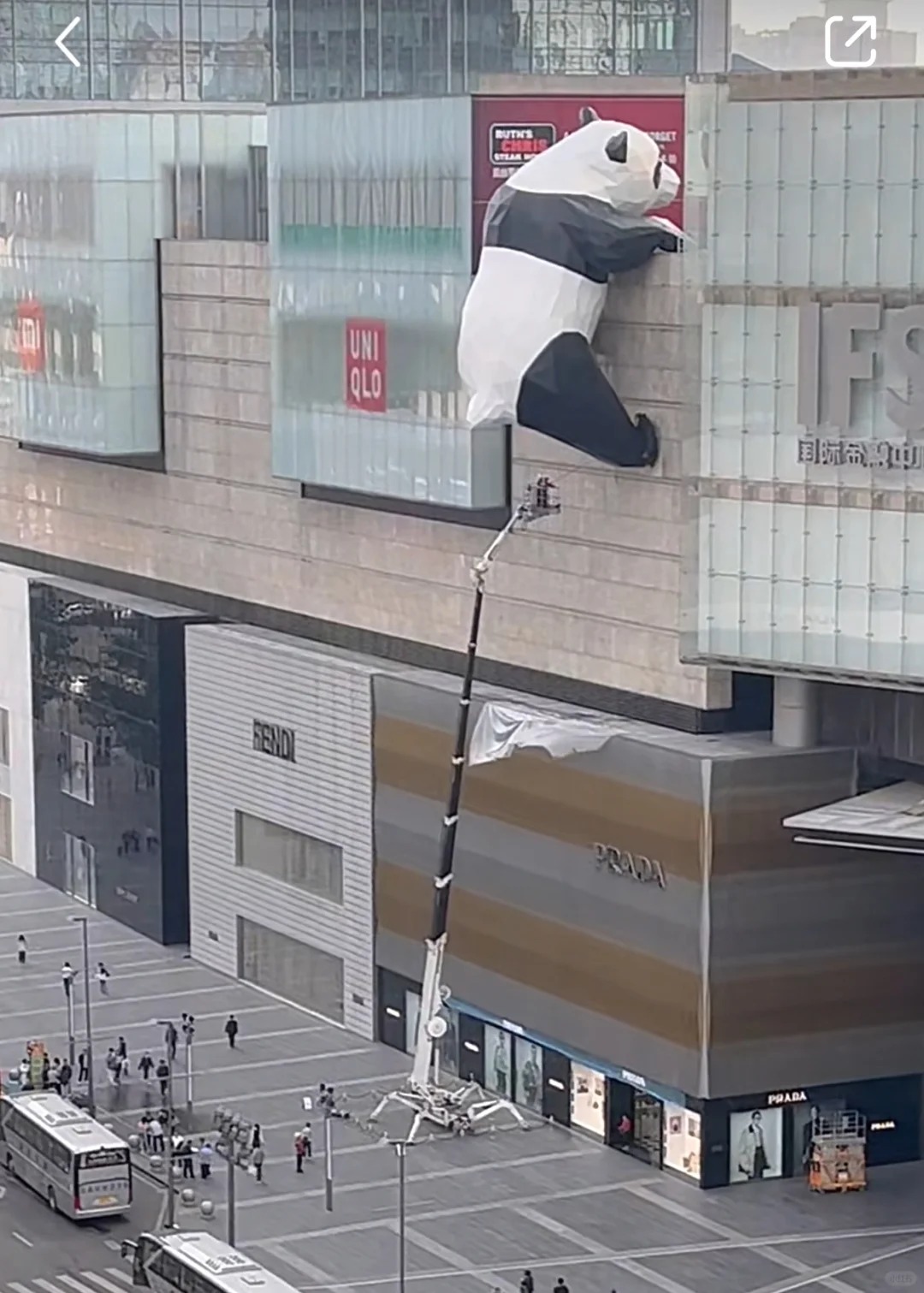 为迎接劳动节，成都给春熙路大熊猫擦PP了