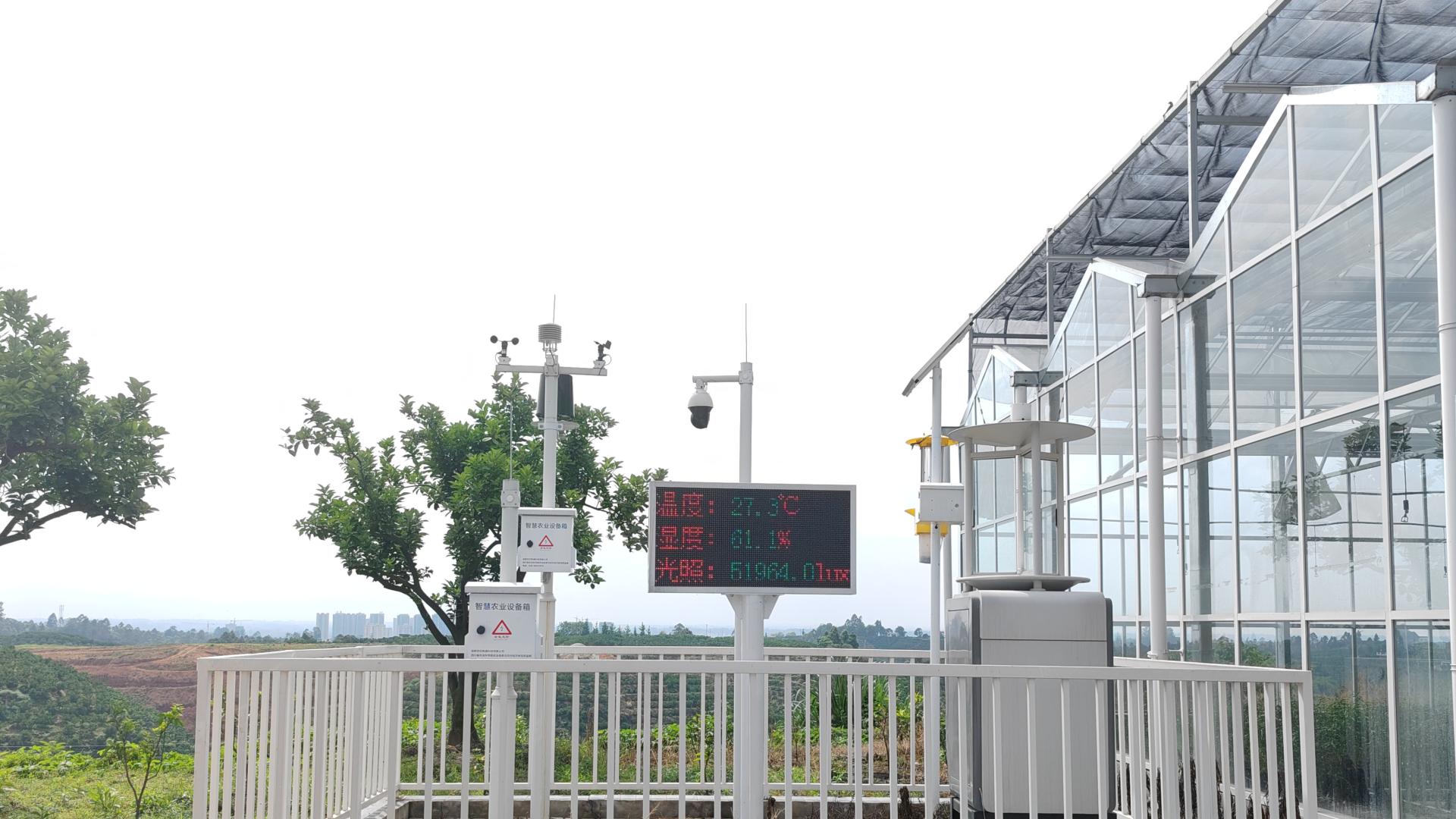 四川成都县域柑橘产业大数据平台、柑橘产业大脑（重庆、贵州、云南）