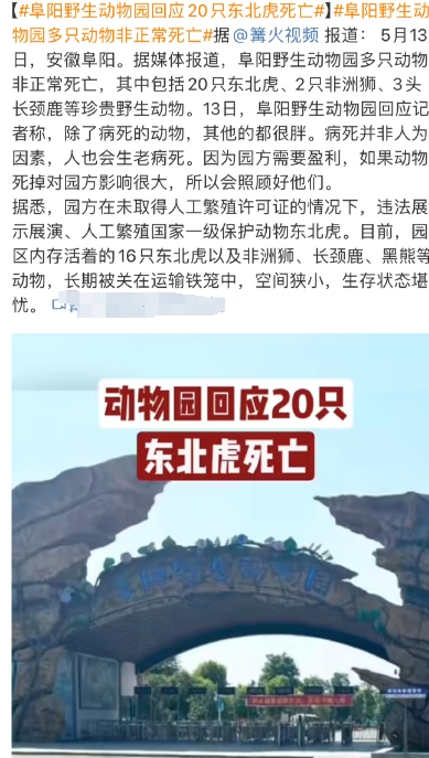 在国内，除了若干最有名的动物园之外，这个行业整体的收入并不算好——尽管这两年有一