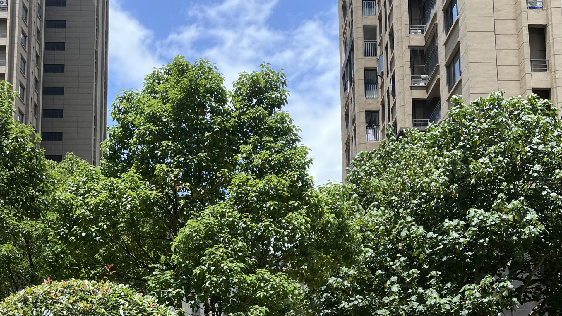 还没买房的恭喜了，2024年传来4大好消息，这两大群体有信心了？