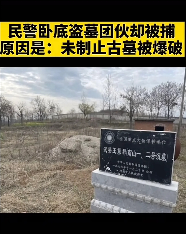 河南，一民警潜入盗墓团伙当卧底，取得盗墓贼信任后，前往芒砀山盗墓，岂料，警队赶到
