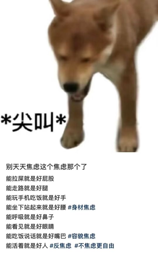 是这样的呢