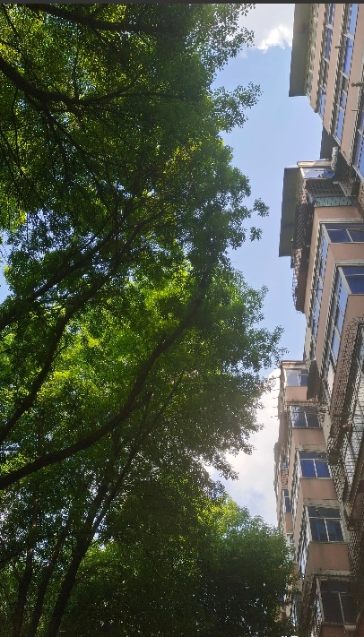 我一个老同事，今年48岁，是个大孝子，一下班就是回家伺候老人，什么娱乐活动都不参