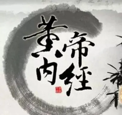 《黄帝内经》是先祖们在寻找生存环境中，逐步总结出来的和自然和谐共存的理论大成。